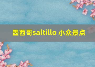 墨西哥saltillo 小众景点